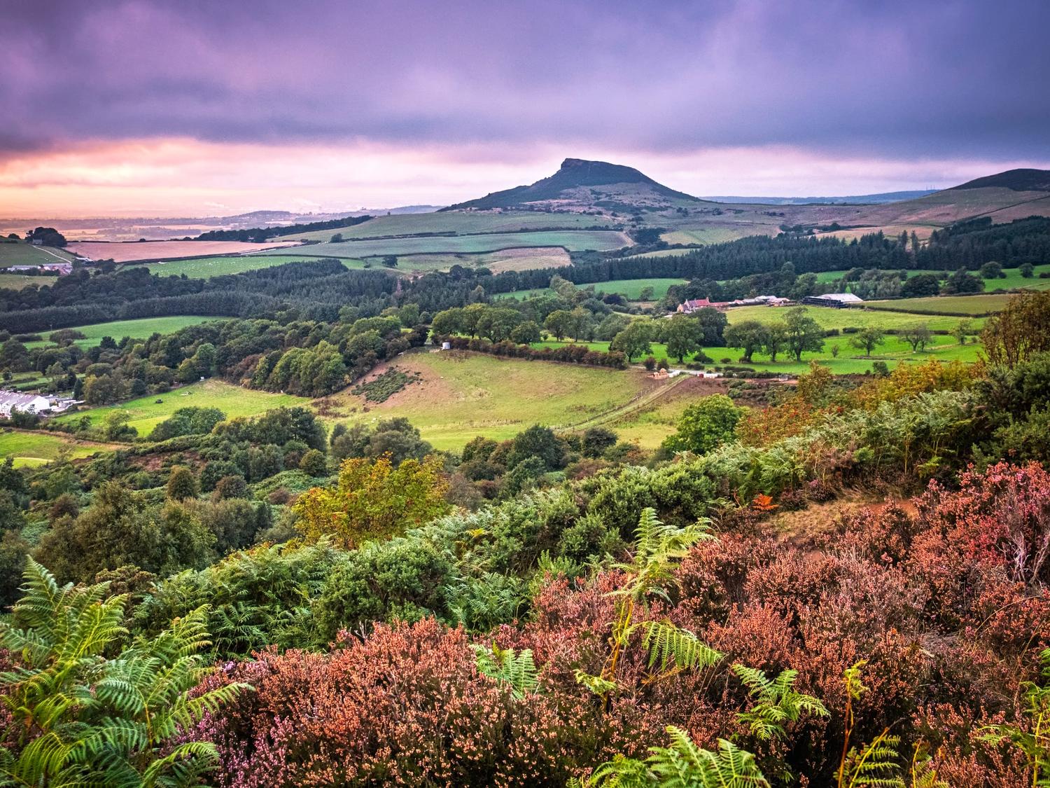 North York Moors 1